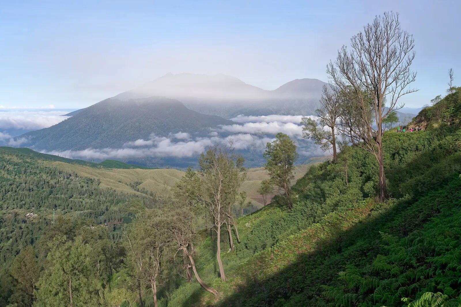 Mount Raung rising over a sea of cloud, seen from the Ijen trail